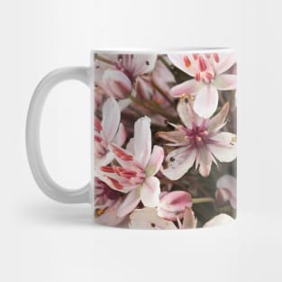 Spring flowers Mug